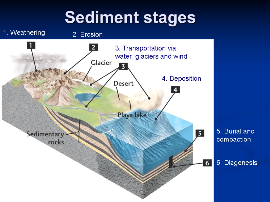 Sediment stages 1. Weathering 2. Erosion 3. Transportation via water, glaciers and wind 4.